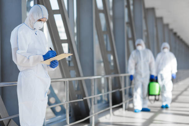 Best Mold Remediation for Healthcare Facilities  in Snead, AL