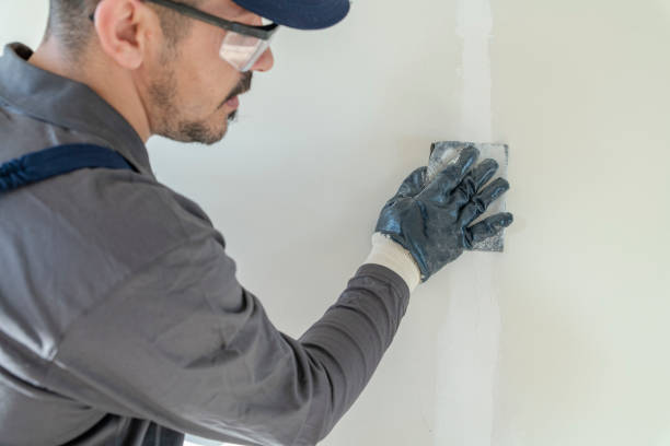 Professional Mold Removal in Snead, AL