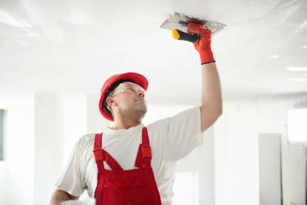 Best Residential Mold Inspection & Testing  in Snead, AL