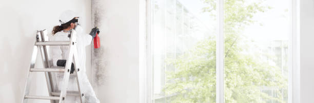 Best Forensic Mold Investigation  in Snead, AL