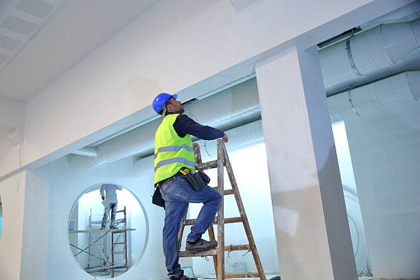 Best Mold Prevention Services  in Snead, AL