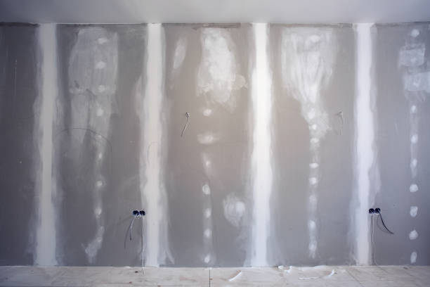 Best Mold Removal for HVAC Installations  in Snead, AL